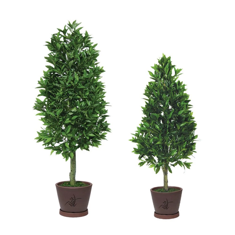 bay leaf cone topiary artificial tree bay leaf cone topiary artificial tree